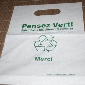 Shopping Bags 9" x 11" -  1000/Box